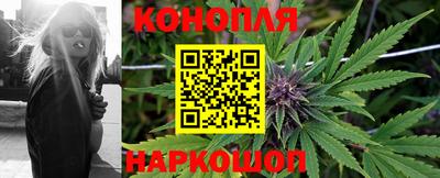 шишки Конаково